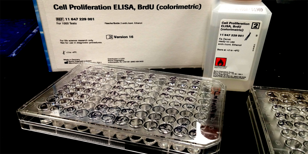 In Vitro to In Vivo